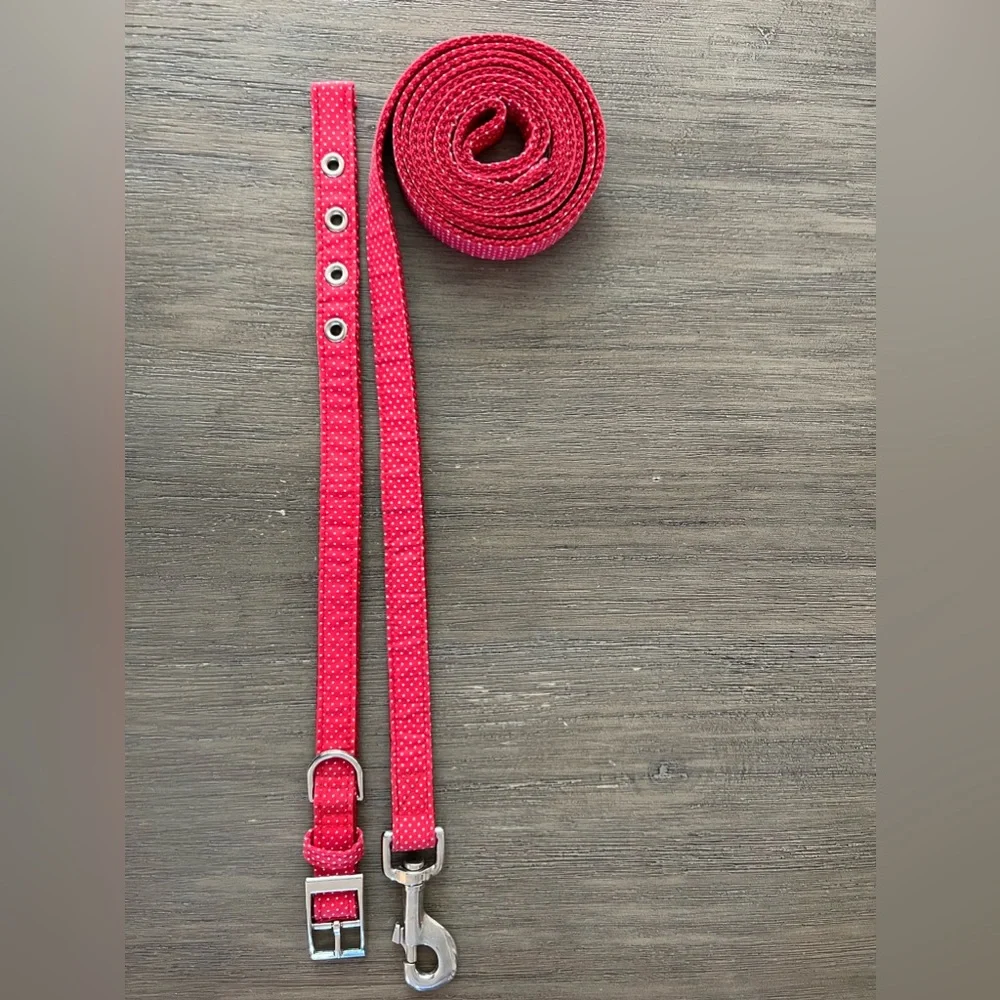 NWOT | Custom Bow Tie Dog Collar + Matching Leash | Red